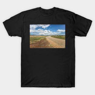 The Path to the Storm T-Shirt